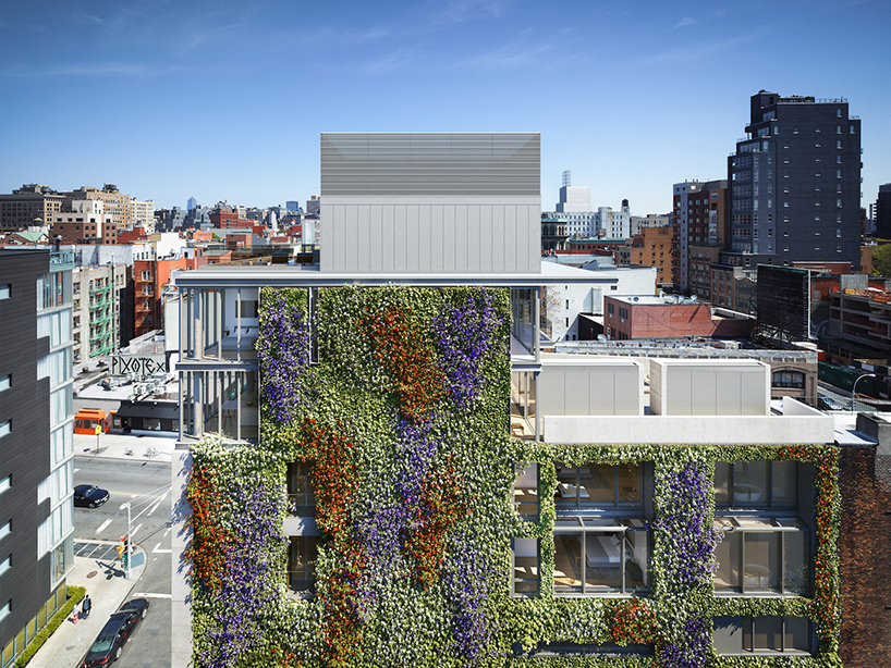 安藤忠雄设计的伊利莎白街152号公寓楼拥有一面巨大的绿墙| 建筑学院